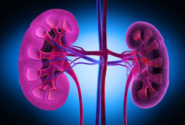 Kidney Awareness