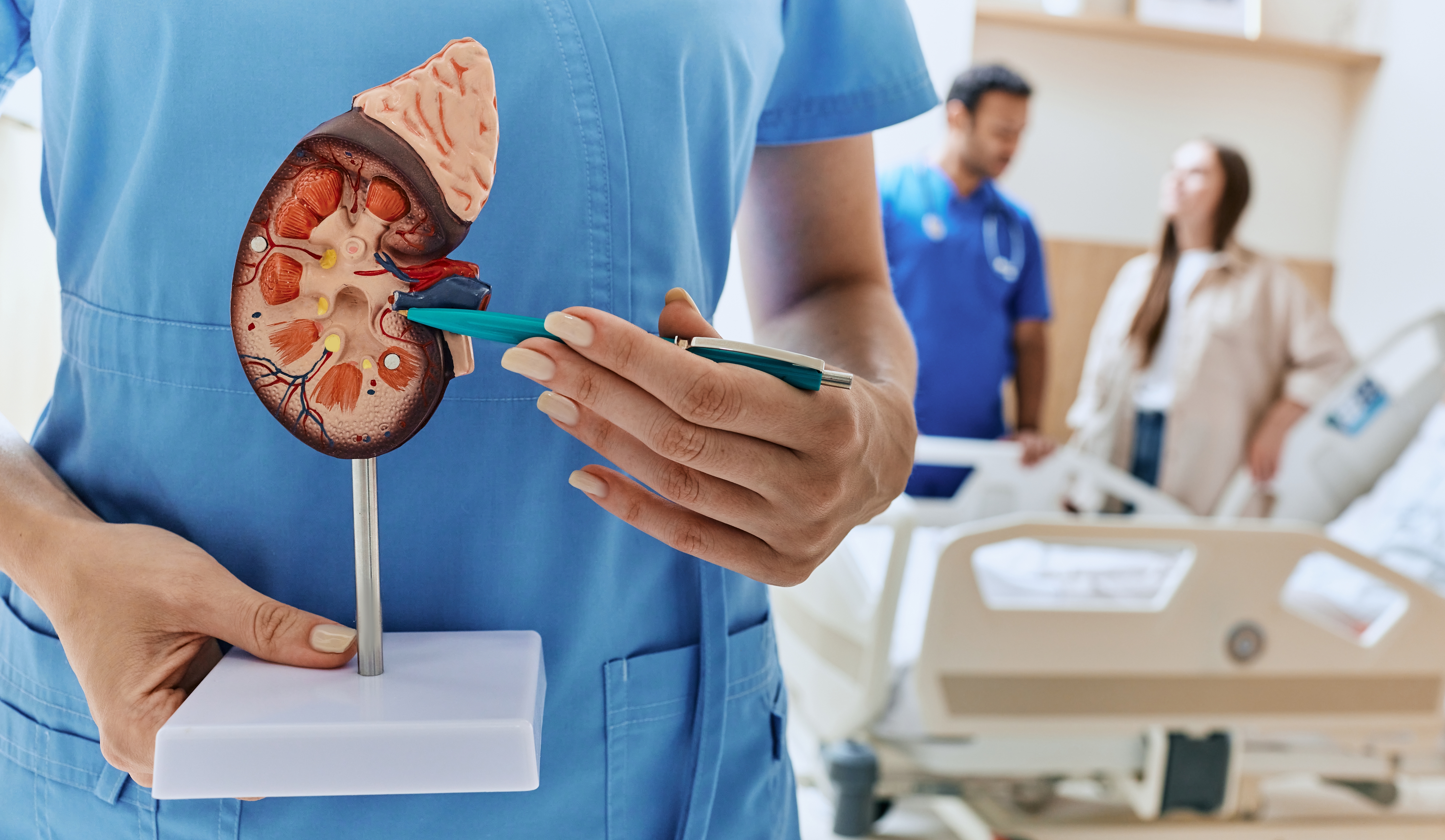 Life After a Kidney Transplant: What to Expect During Recovery, Long-Term Care, and Lifestyle Changes
