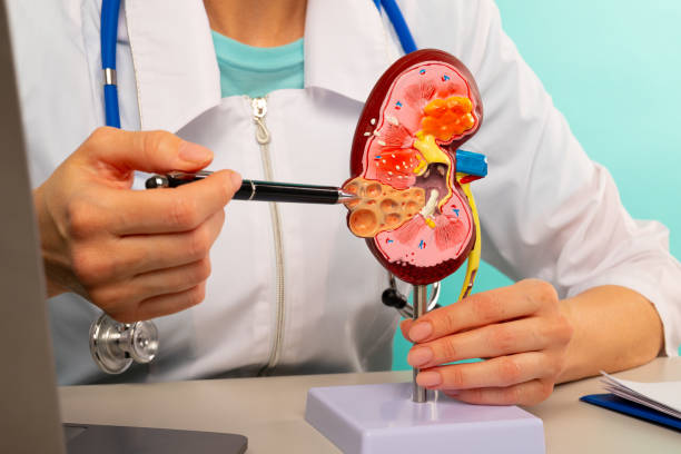 Who Can Donate a Kidney? Artemis Experts Transplant Center Explains Donor Eligibility and What to Expect